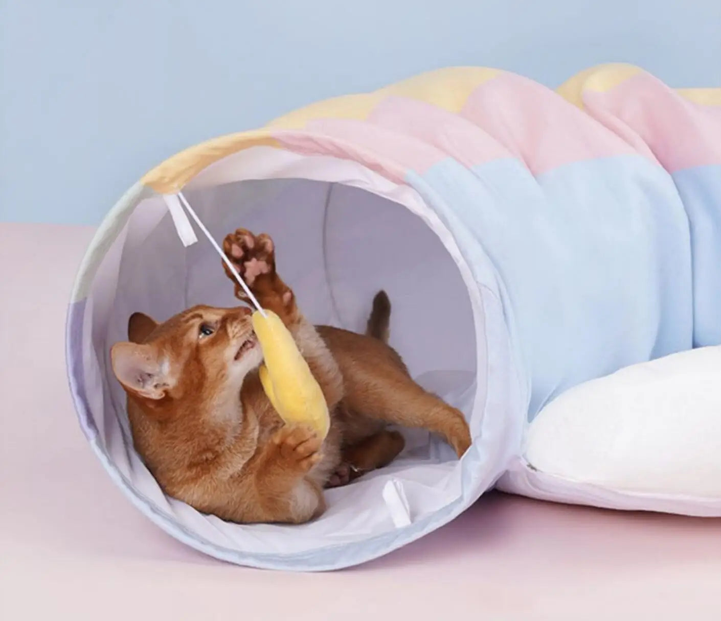 CAT TUNNEL BED