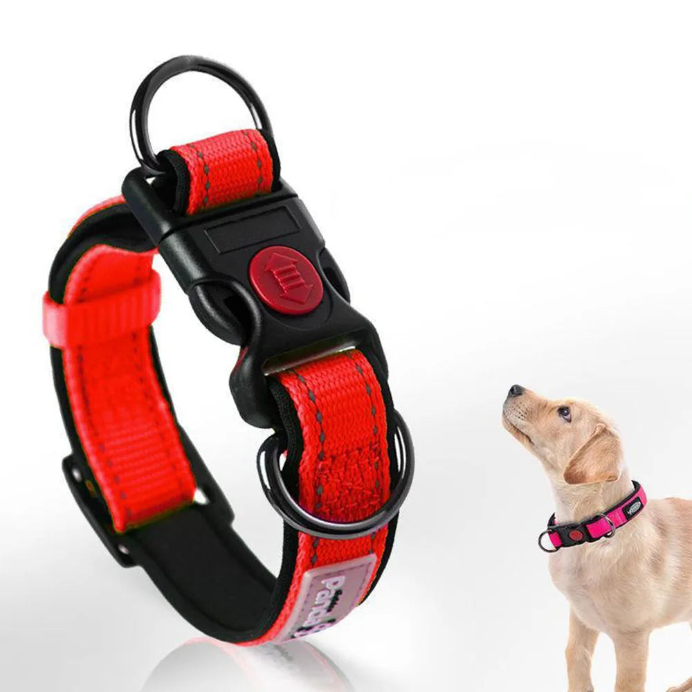 Adjustable Dog Collar