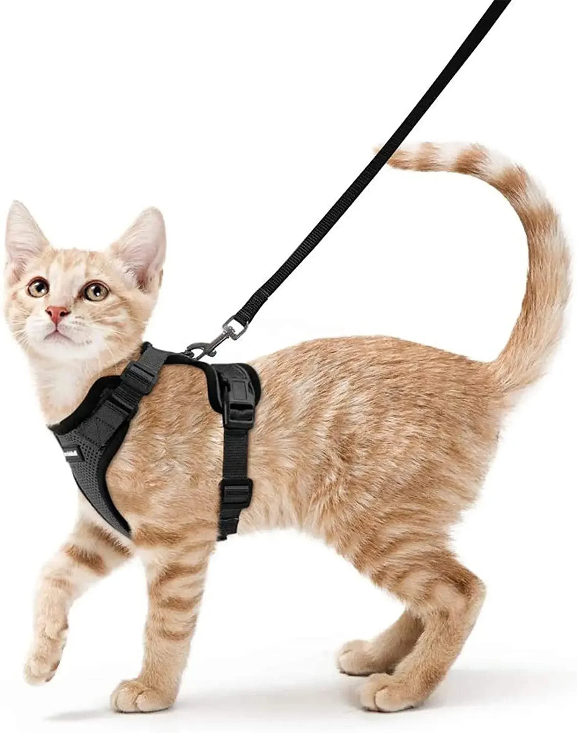 ATUBAN Cat Harness and Leash for Walking