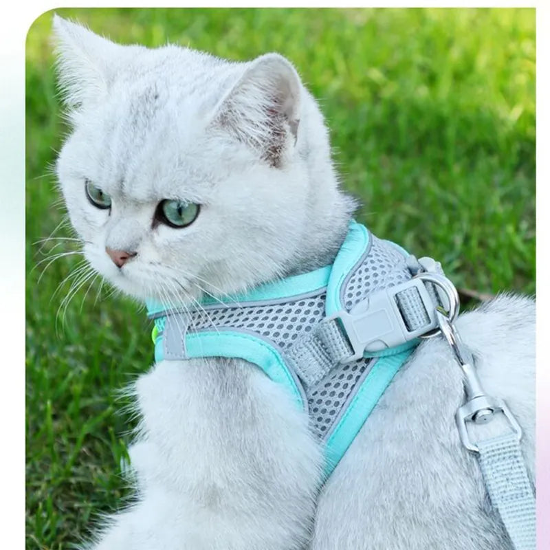 Adjustable Cat Harness and Leash