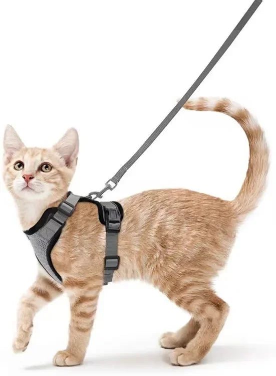 ATUBAN Cat Harness and Leash for Walking