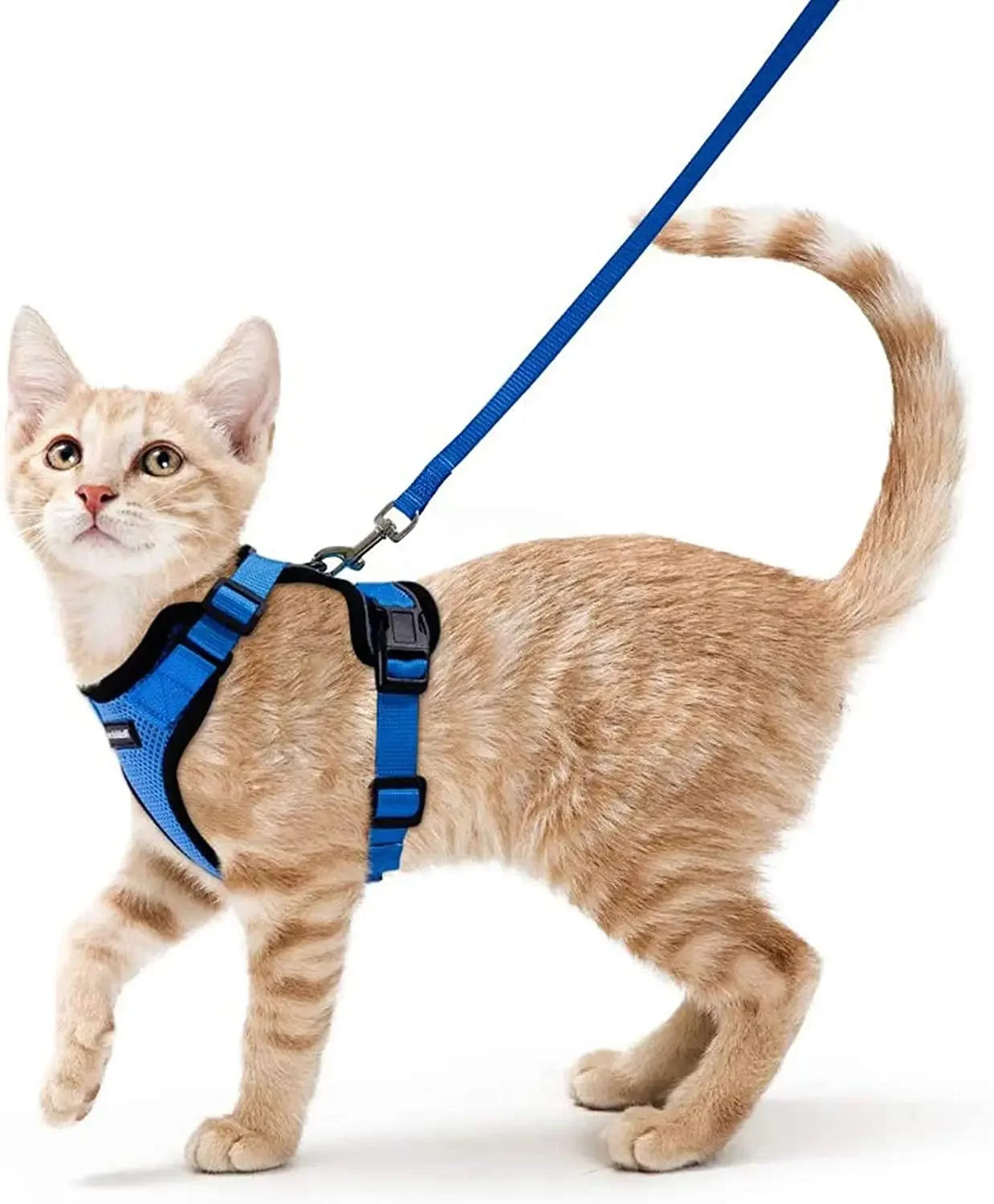 ATUBAN Cat Harness and Leash for Walking