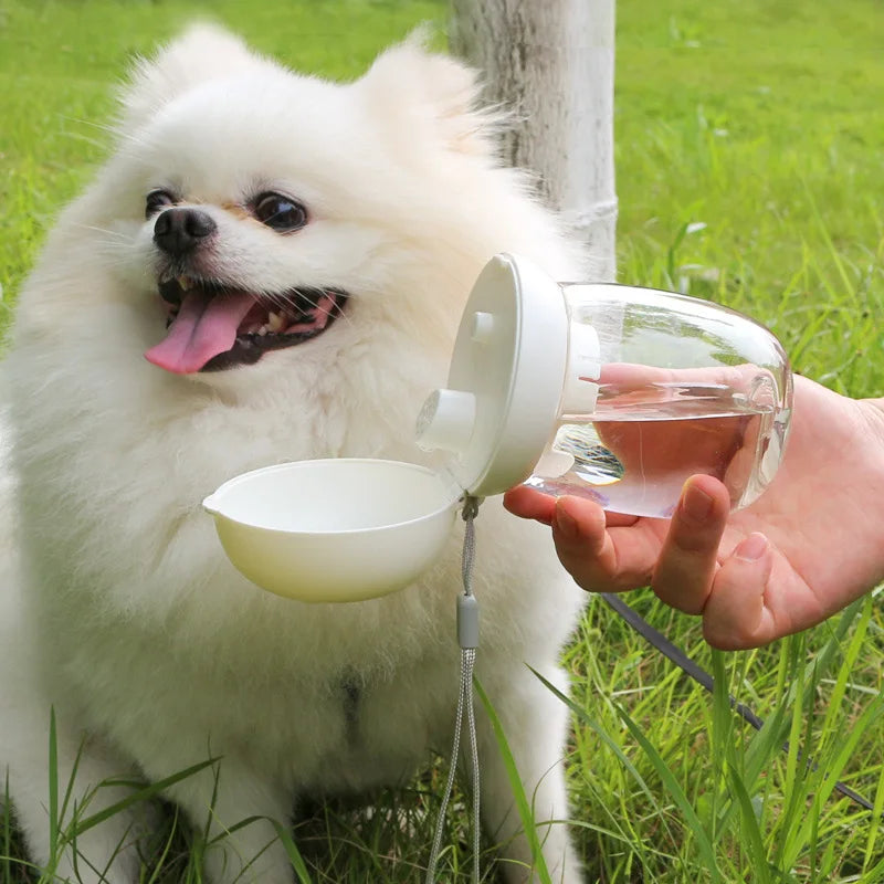 300ml Portable Dog Water Bottle