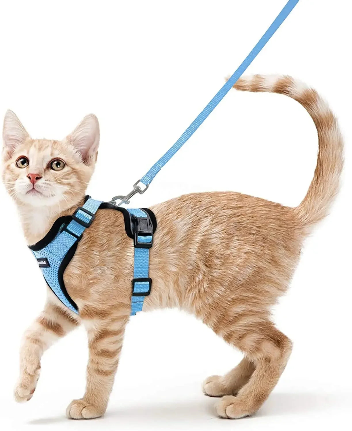 ATUBAN Cat Harness and Leash for Walking