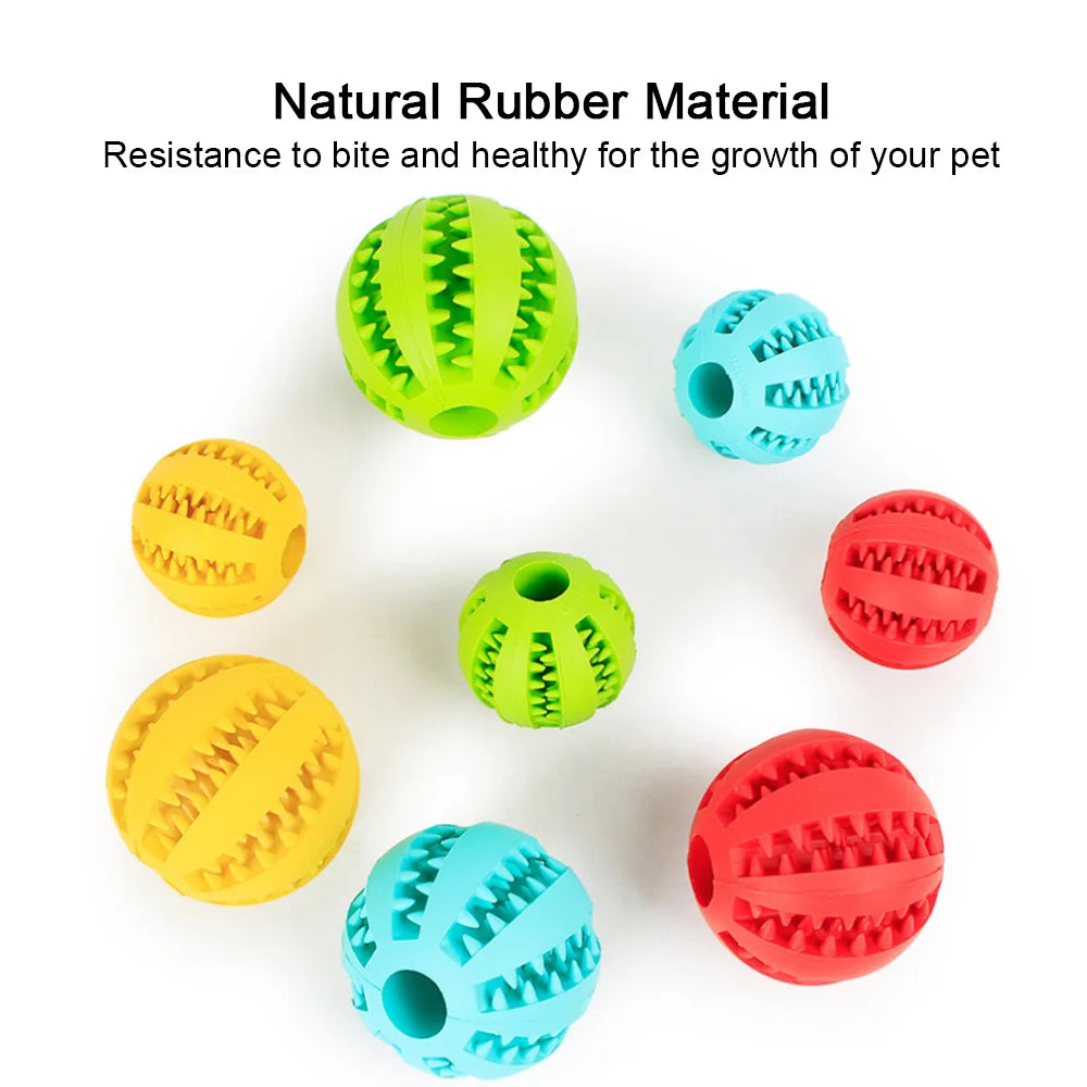 Dog Toy Ball