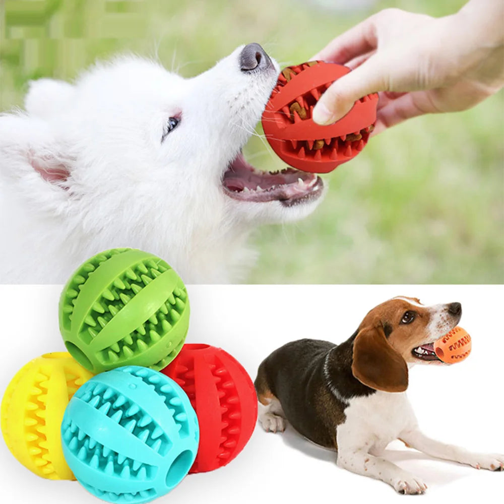 Dog Toy Ball