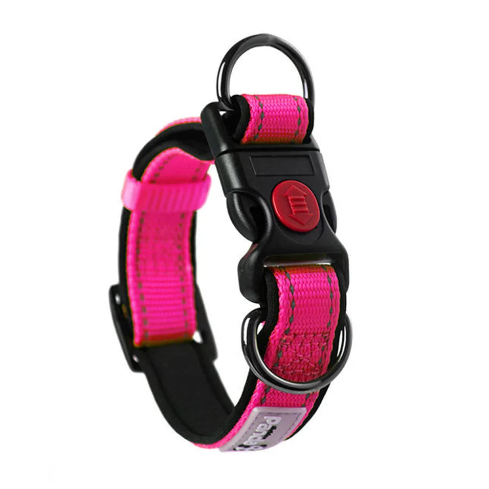 Adjustable Dog Collar