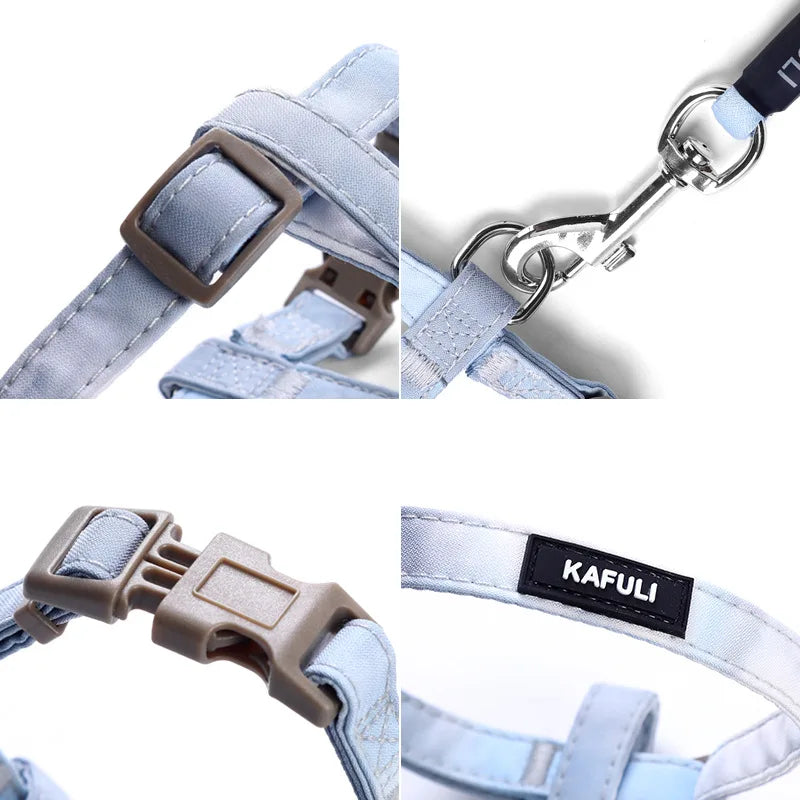 Cat Harness and Leash Set