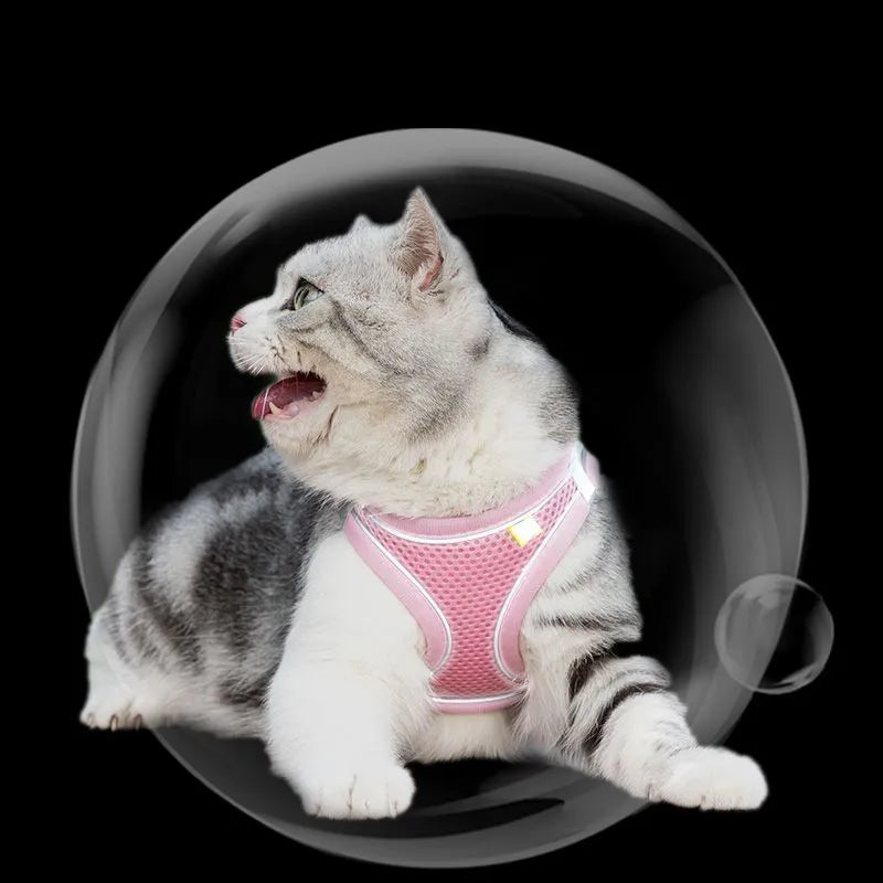 Adjustable Cat Harness and Leash