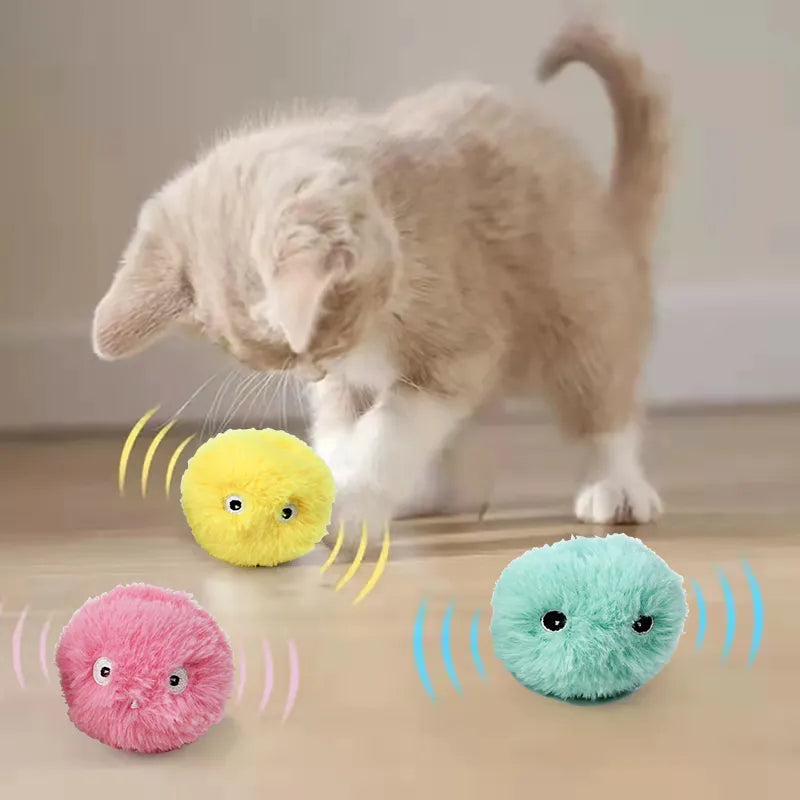 Interactive Ball Cat Toy