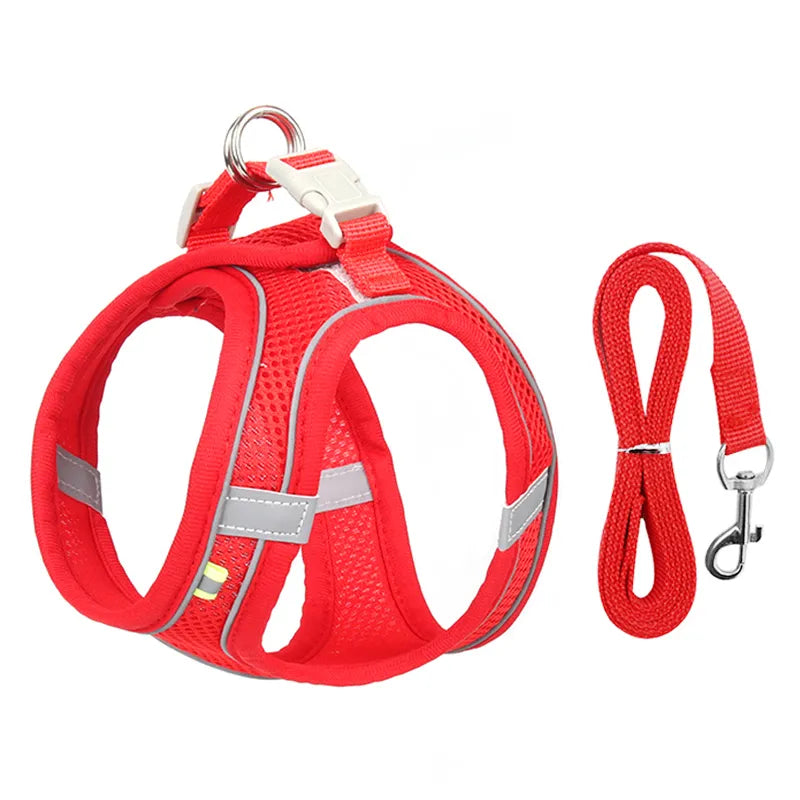 Adjustable Cat Harness and Leash