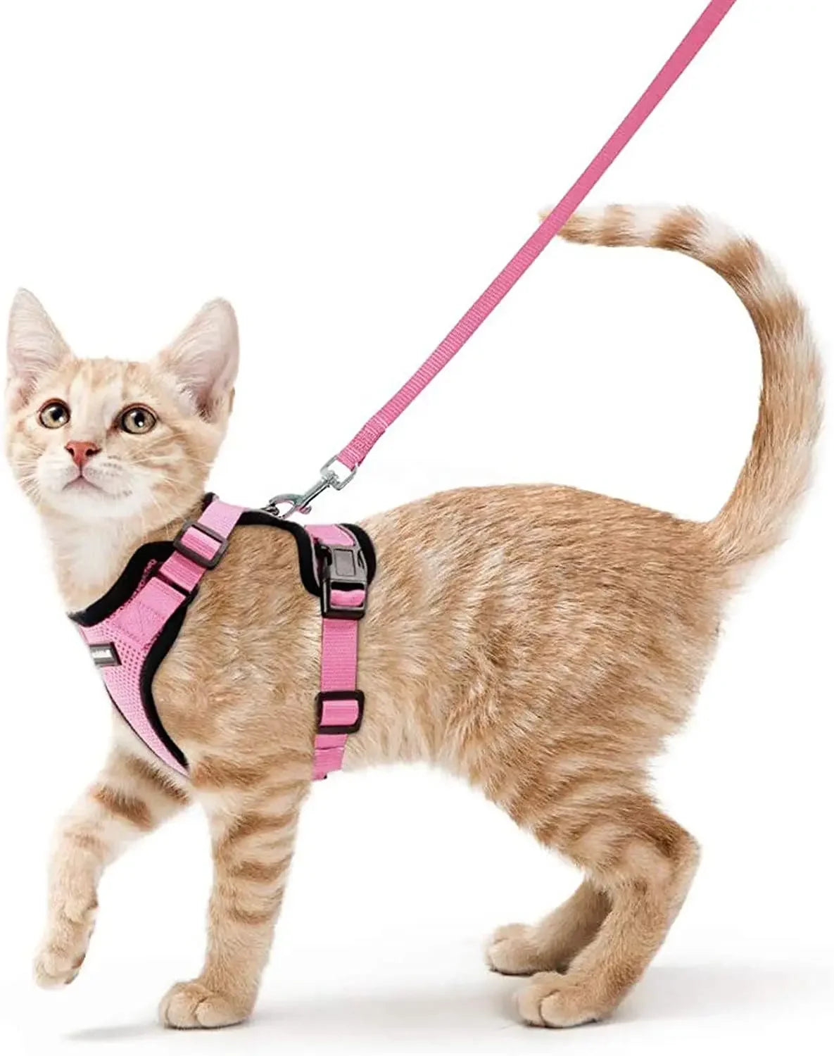 ATUBAN Cat Harness and Leash for Walking