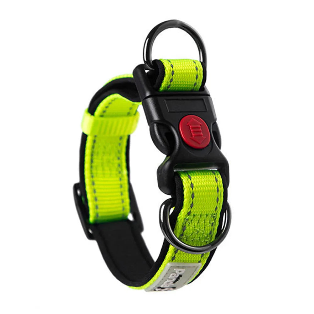 Adjustable Dog Collar