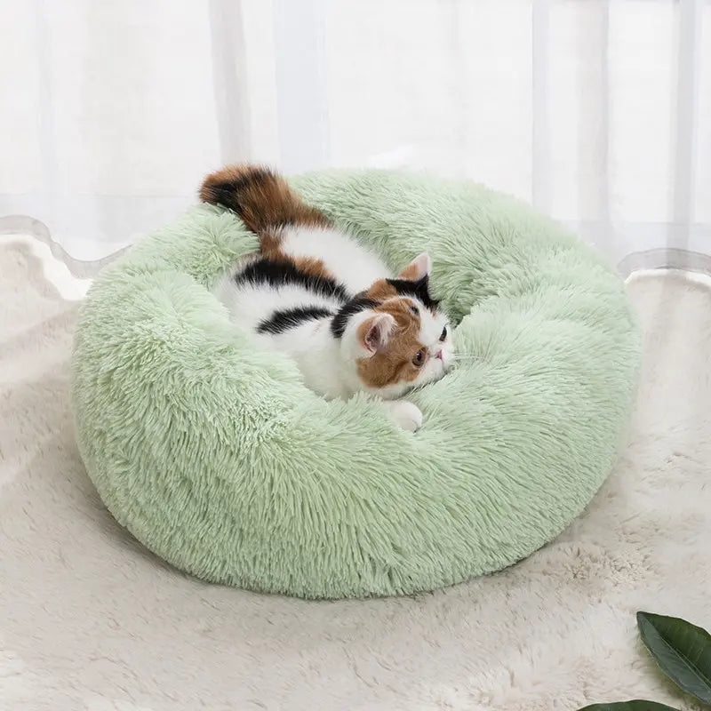 Soft Shaggy Cat Bed